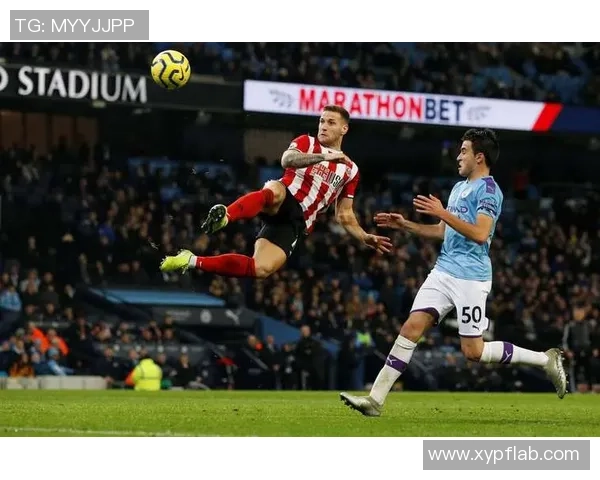 布莱顿主场迎战谢菲尔德联队期待精彩对决与激烈竞争